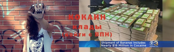 гидра Костерёво