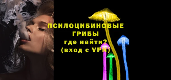 гидра Костерёво