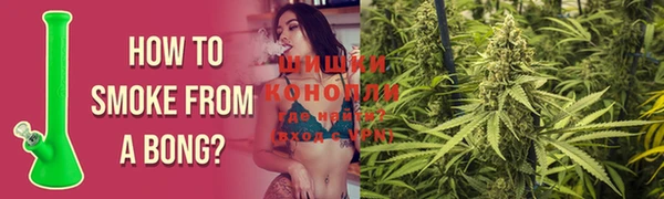 гидра Костерёво